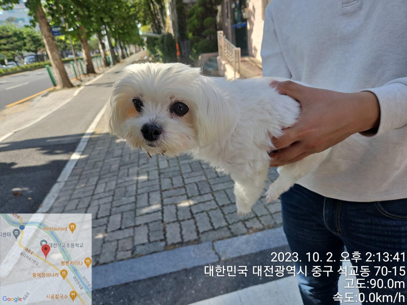 대전동물보호센터_430365202300472